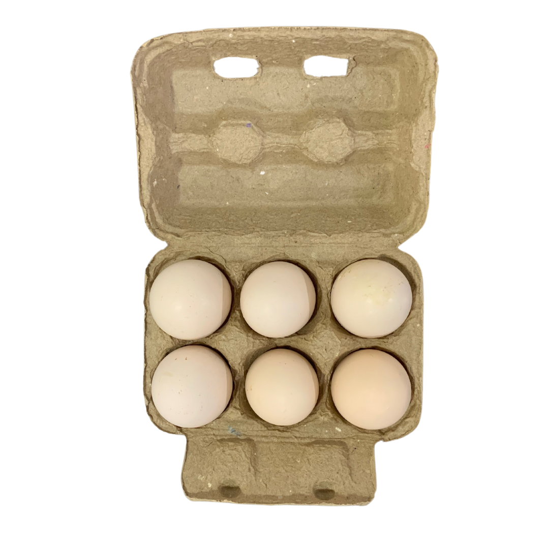 Kadaknath Eggs (6Pcs)