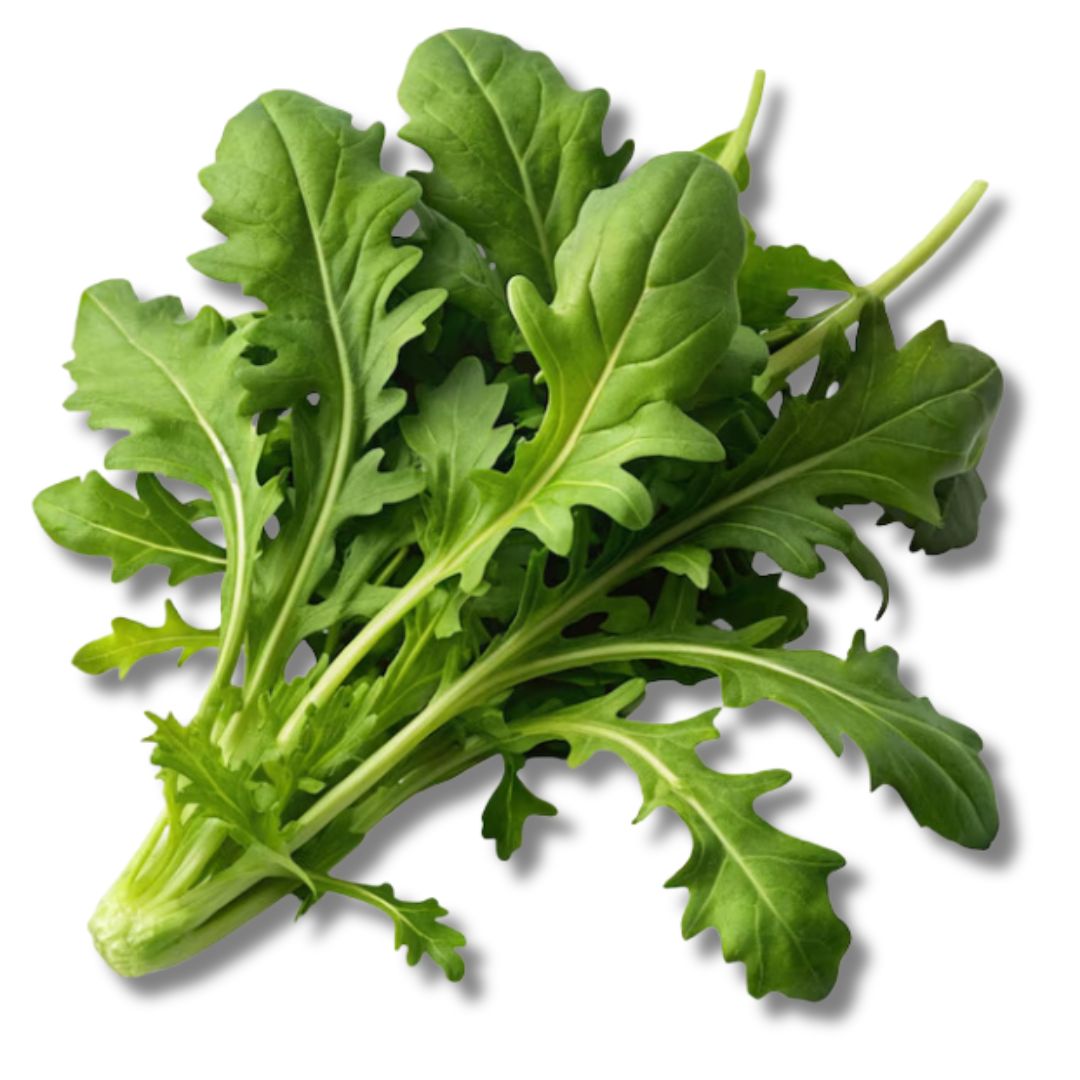 Wild Arugula