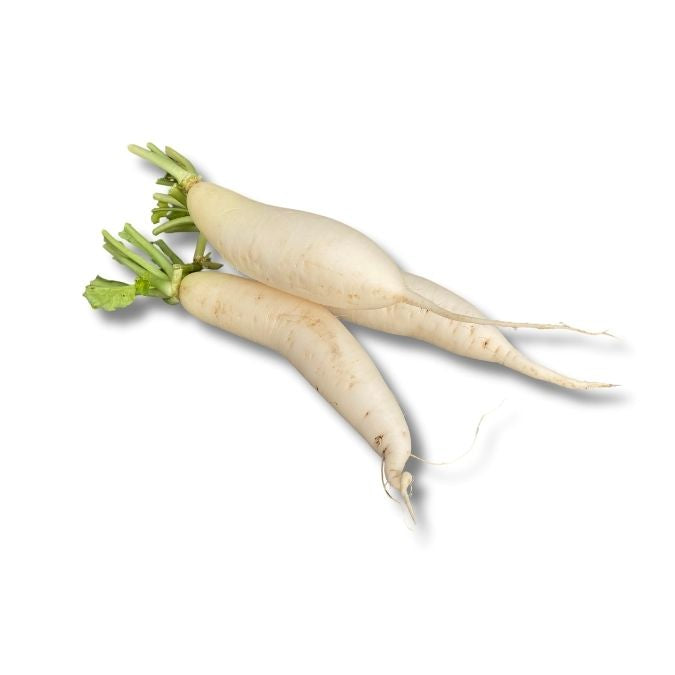 White Radish