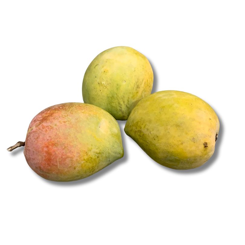 Payari Mango