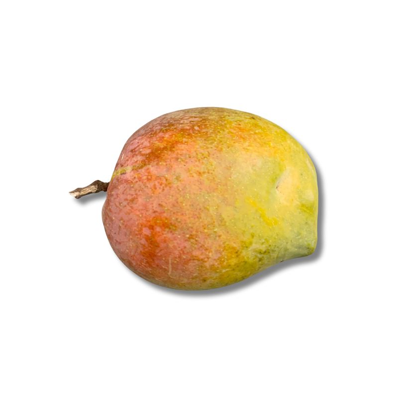 Payari Mango
