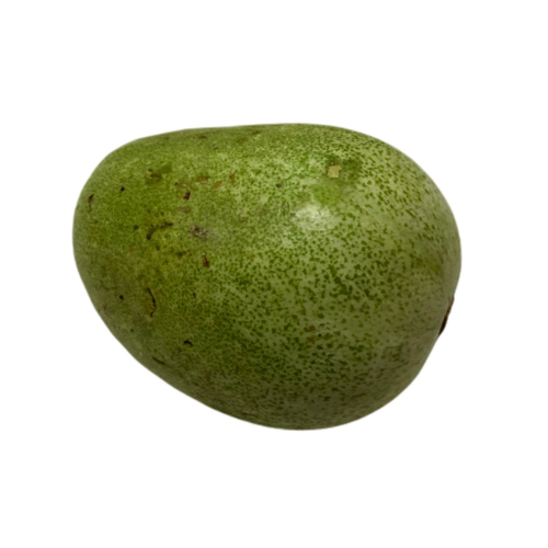 Ash Gourd (White Pumpkin)