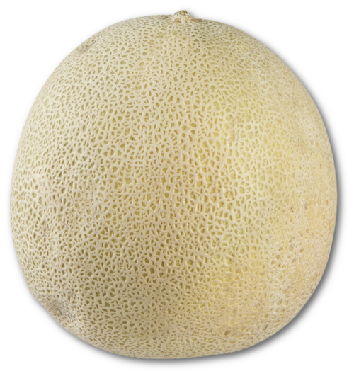 Muskmelon