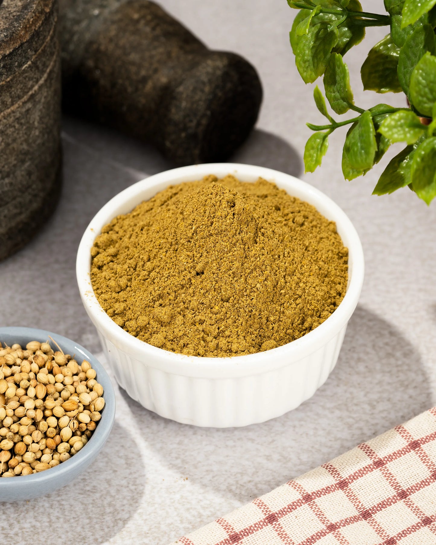 OT Coriander Powder (100gm)