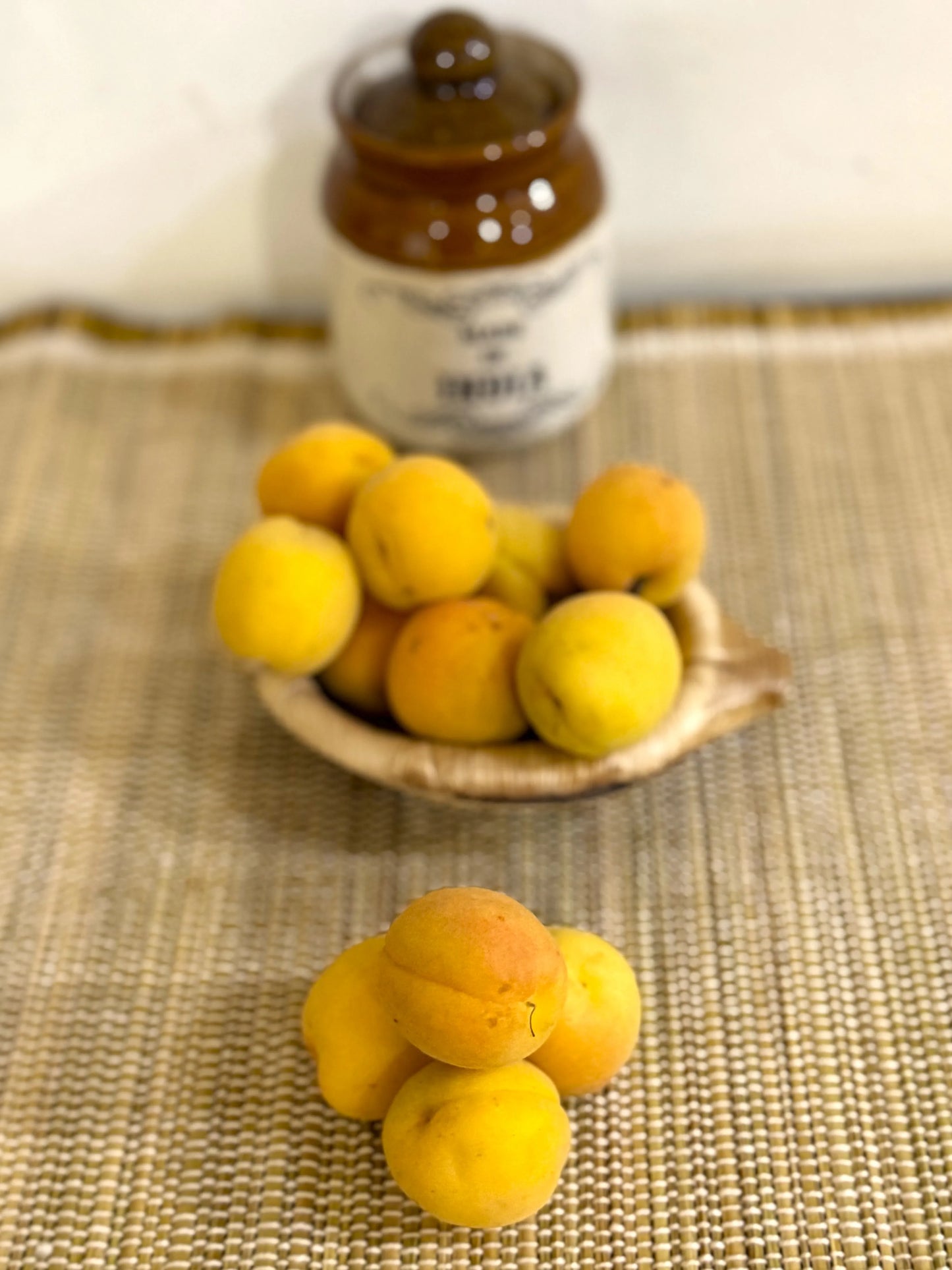 Apricot
