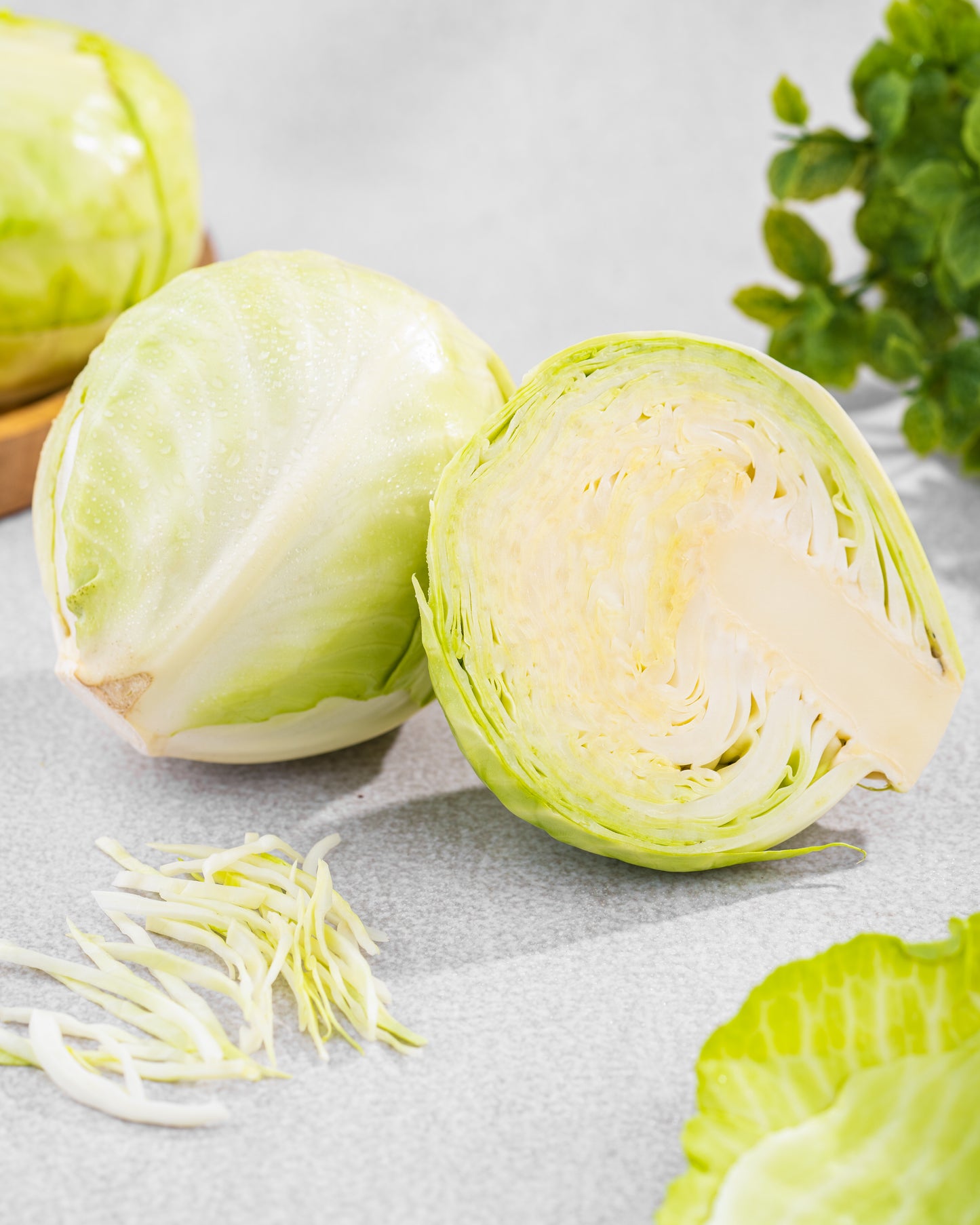 Cabbage
