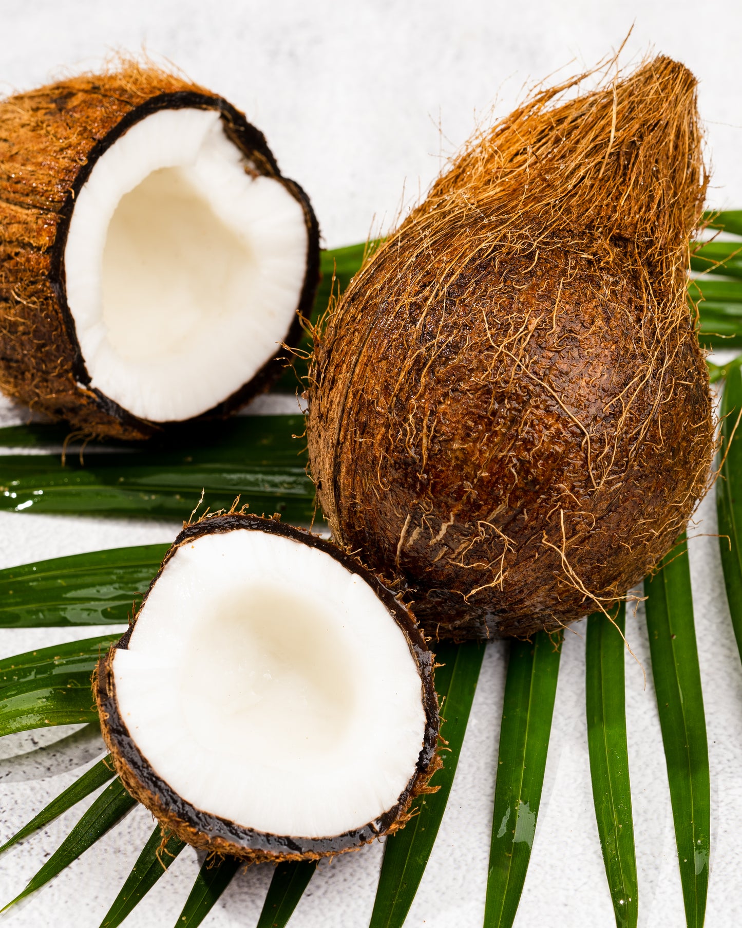 Coconut