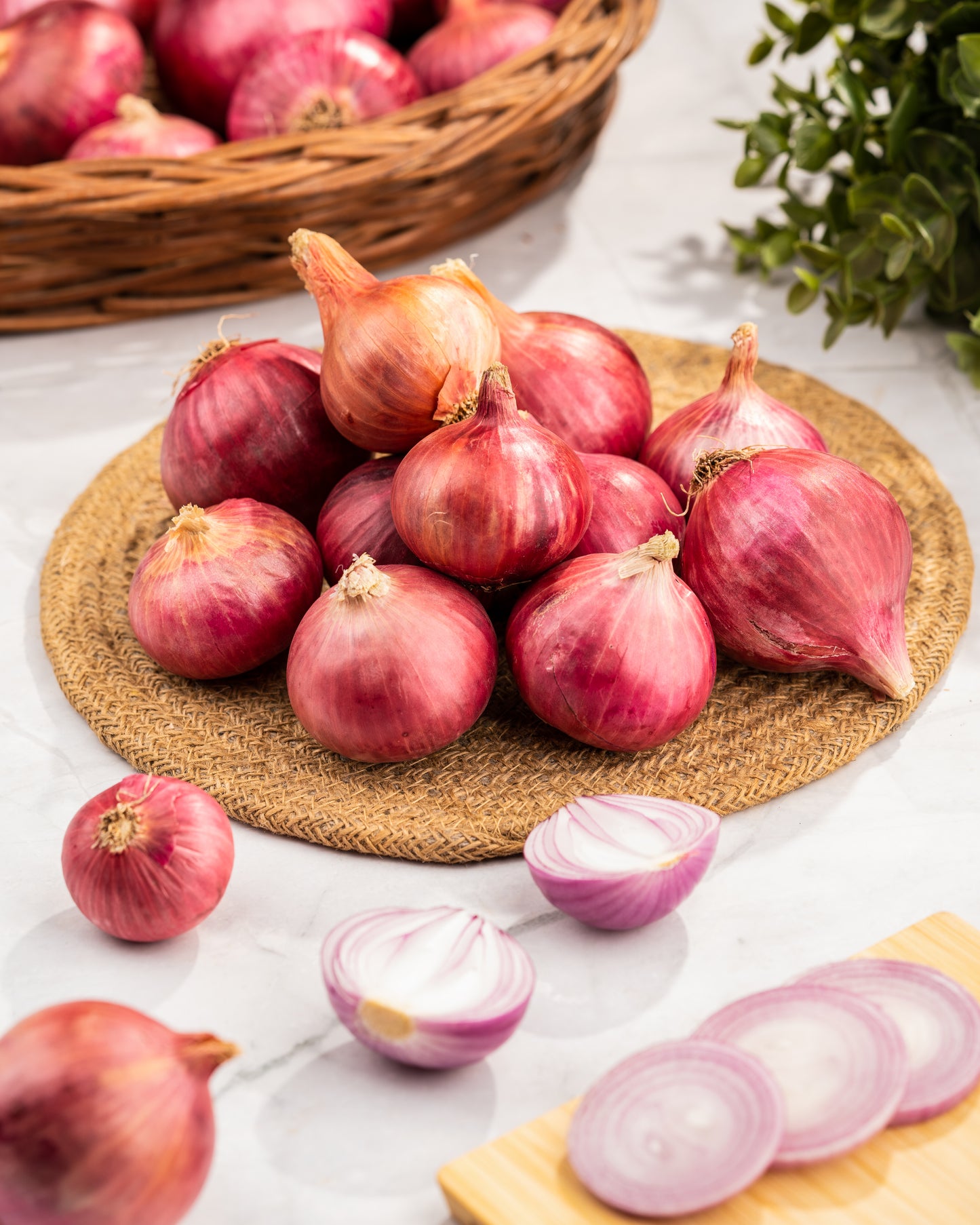 Onion