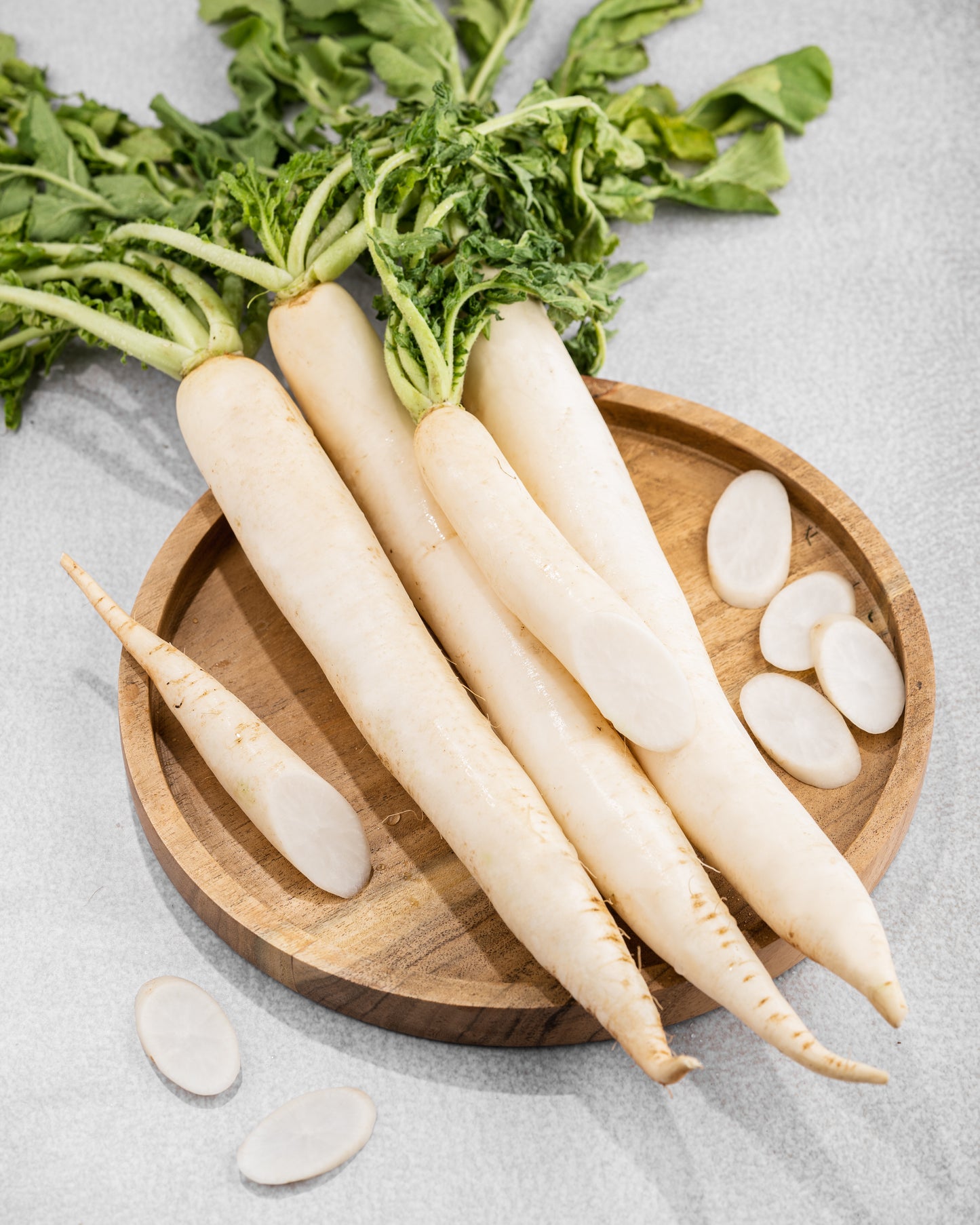 White Radish