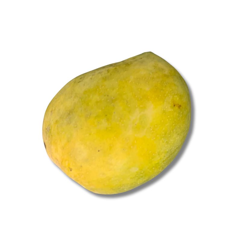 Payari Mango