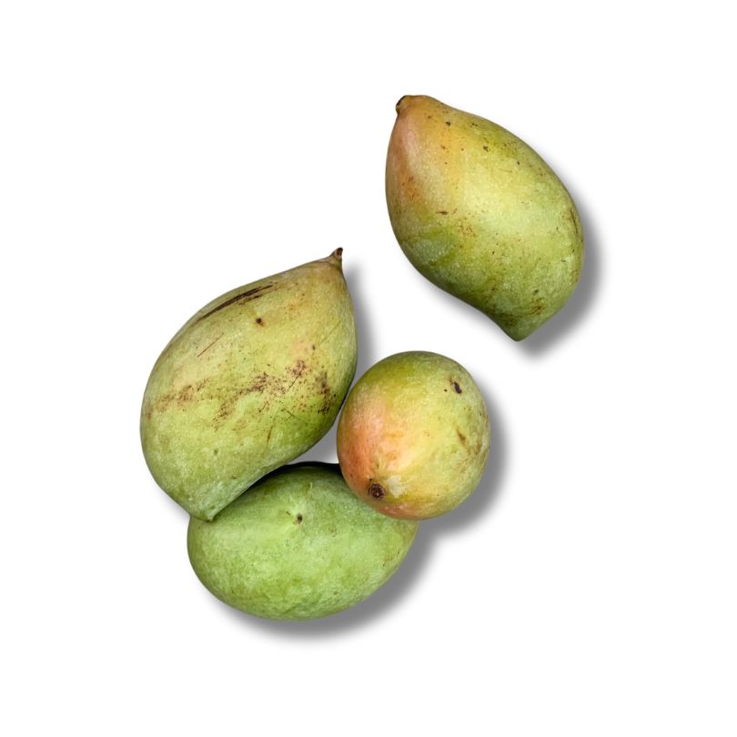 Raw Mango