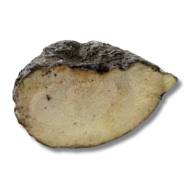 Yam (Suran)