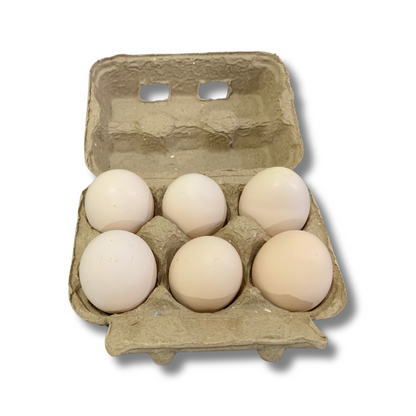 Kadaknath Eggs (6Pcs)