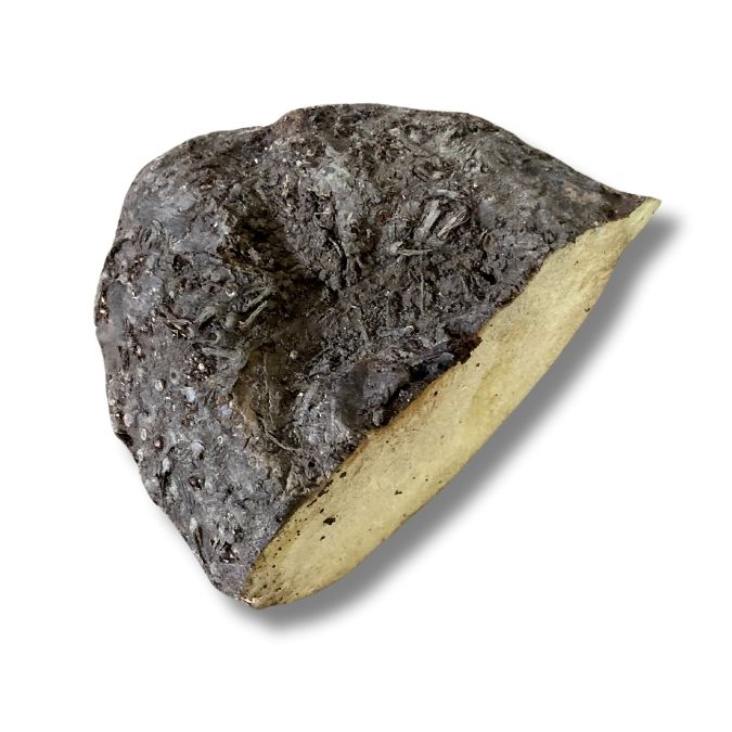 Yam (Suran)