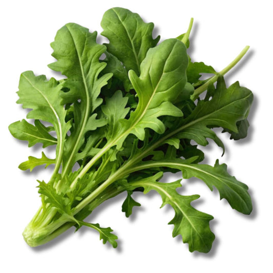 Wild Arugula