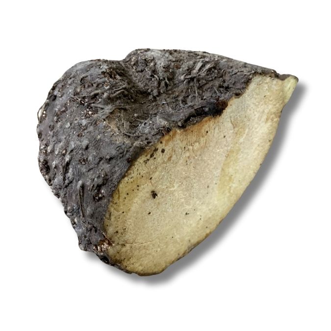 Yam (Suran)