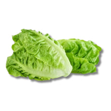 Iceberg Lettuce