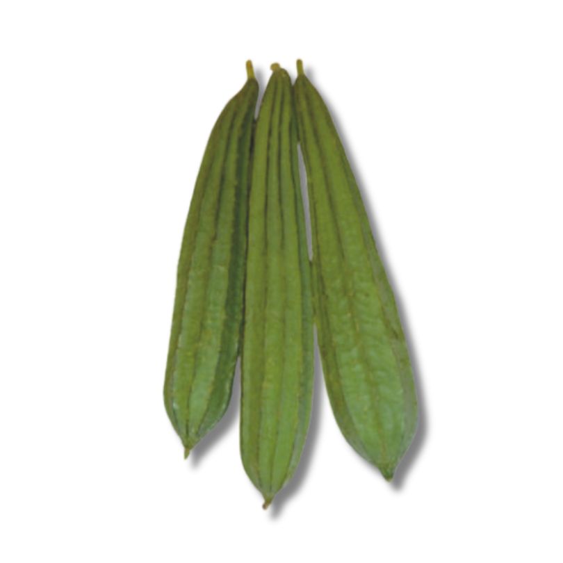 Ridge Gourd (Turai)