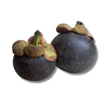 Mangosteen