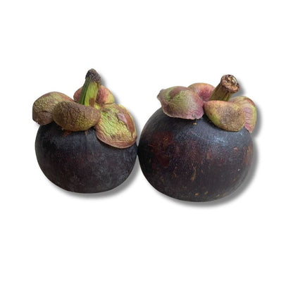 Mangosteen