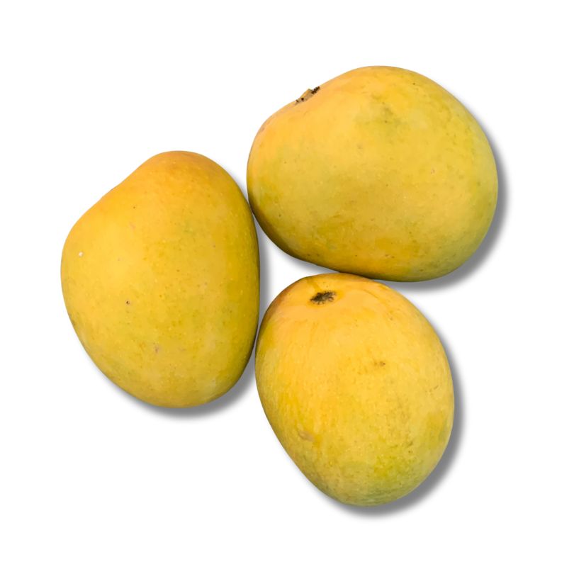 Alphonso Mango