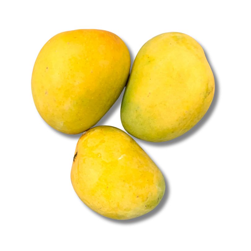Alphonso Mango
