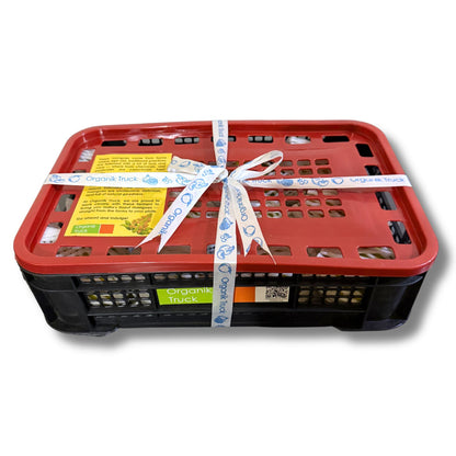 Alphonso Mango Gift Box