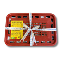 Alphonso Mango Gift Box