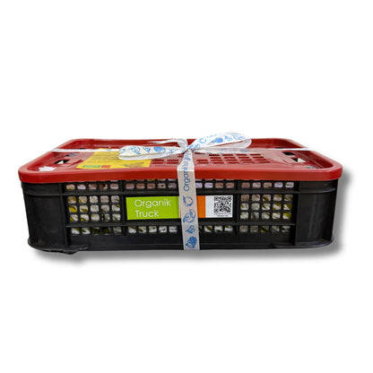 Alphonso Mango Gift Box