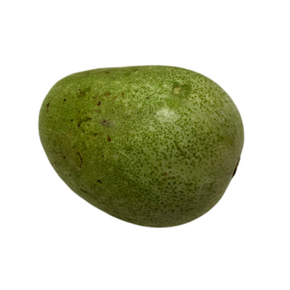 Ash Gourd (White Pumpkin)