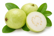 Lucknowi White Guava