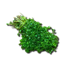 Coriander Bunch (Dhaniya Patta)