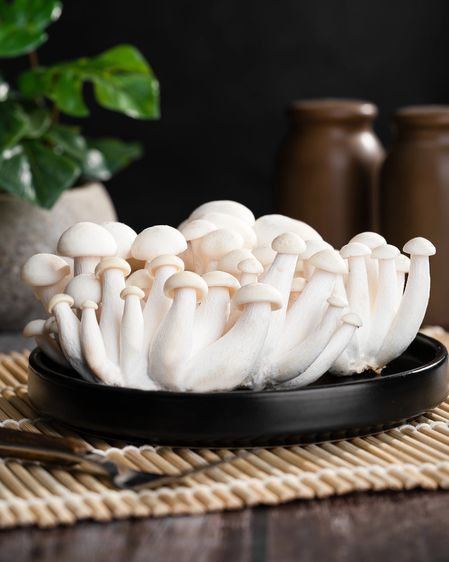 White Shimeji Mushroom