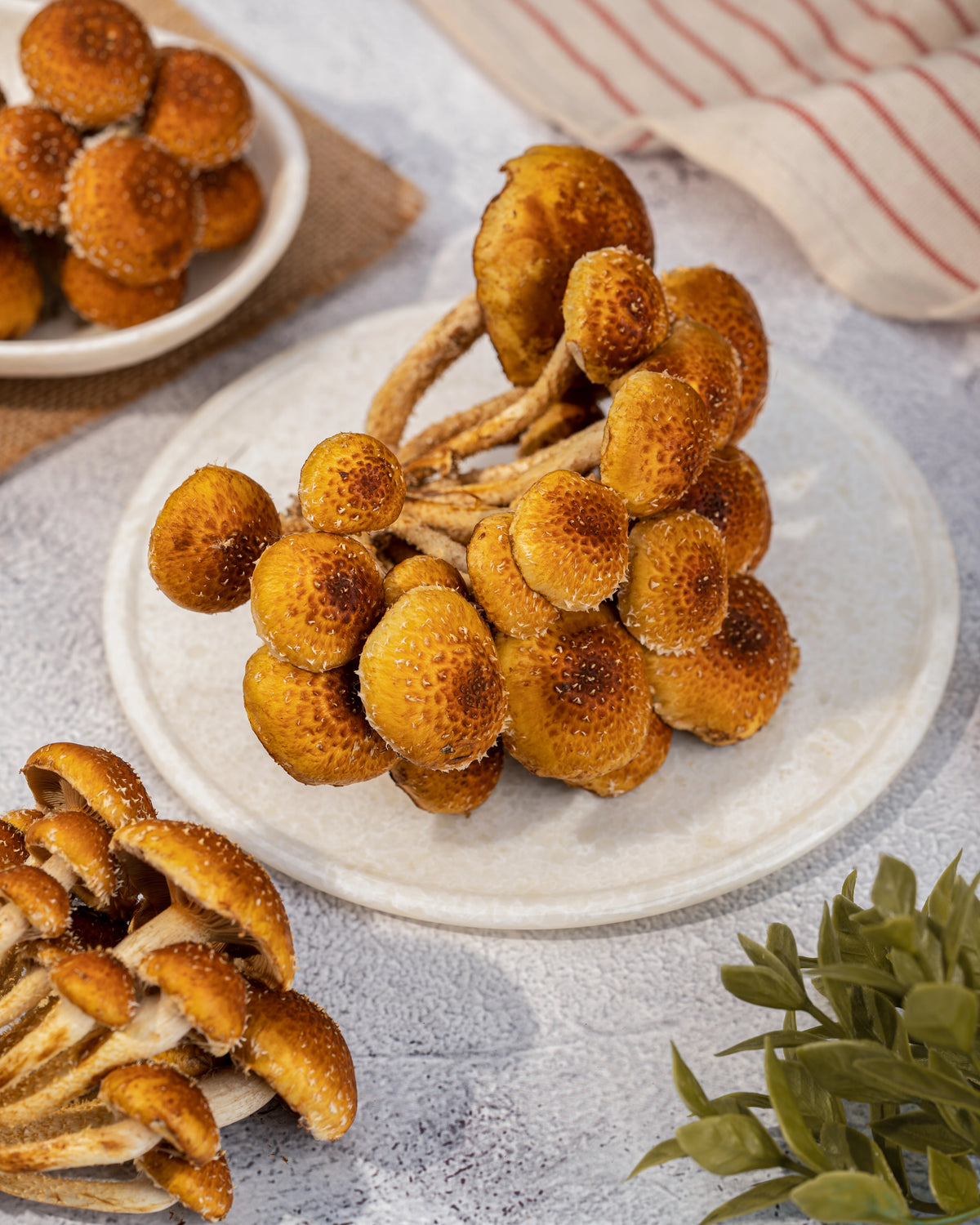 Freckled Chestnut Mushrooms (200gm)