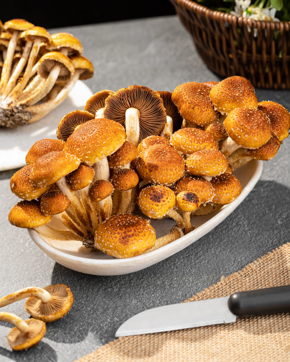 Freckled Chestnut Mushrooms (200gm)