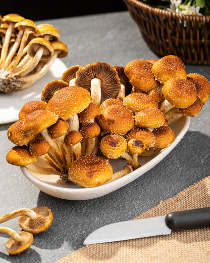 Freckled Chestnut Mushrooms (200gm)