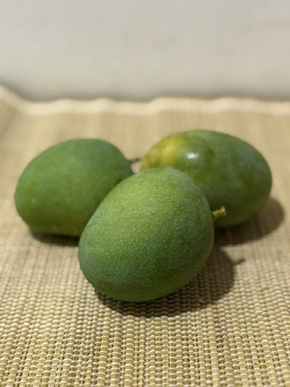 Dudhiya Mango