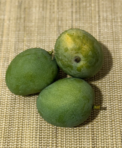 Dudhiya Mango