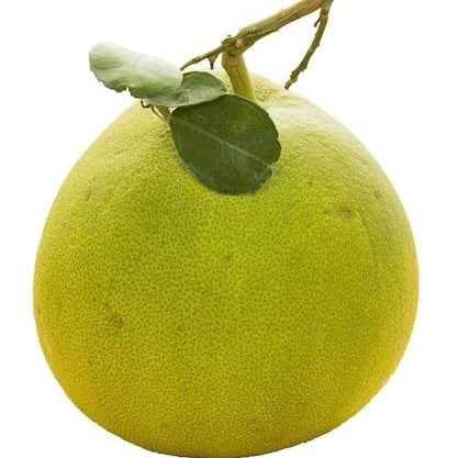 Pomelo