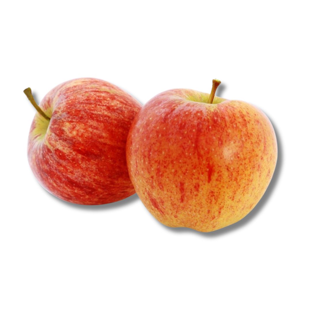 Gala Apple