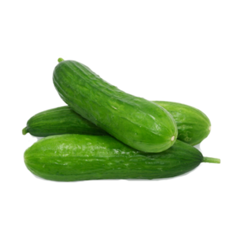 Green Cucumber