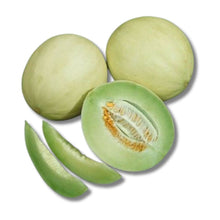 Honey Dew Melon