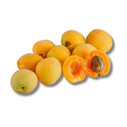 Ladakhi Halman Apricots