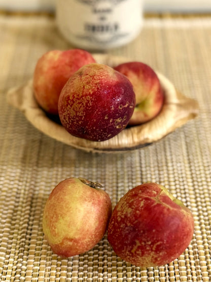 Nectarine