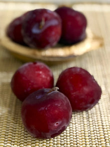 Plum