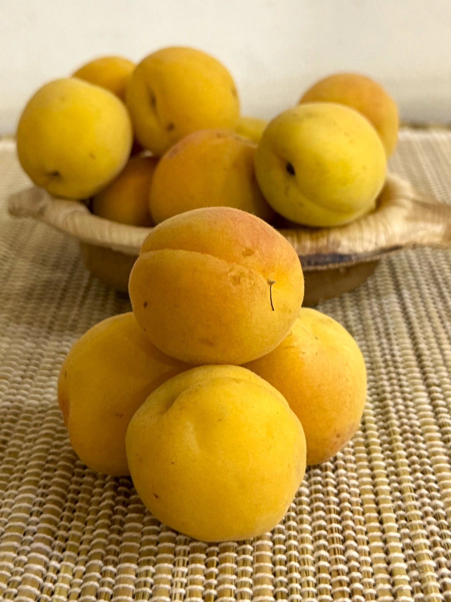 Apricot