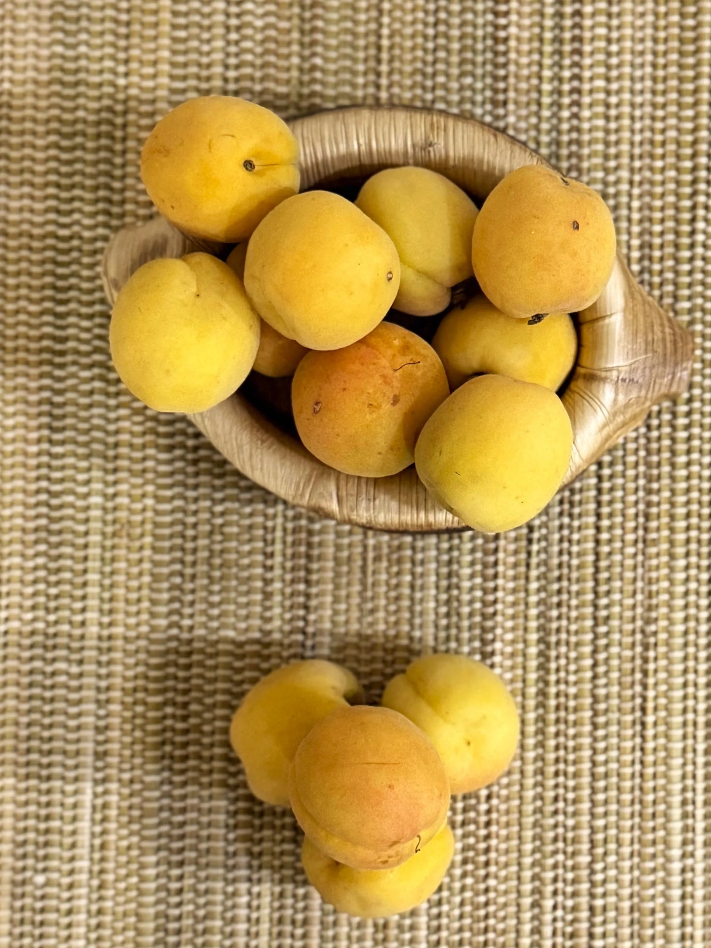 Apricot