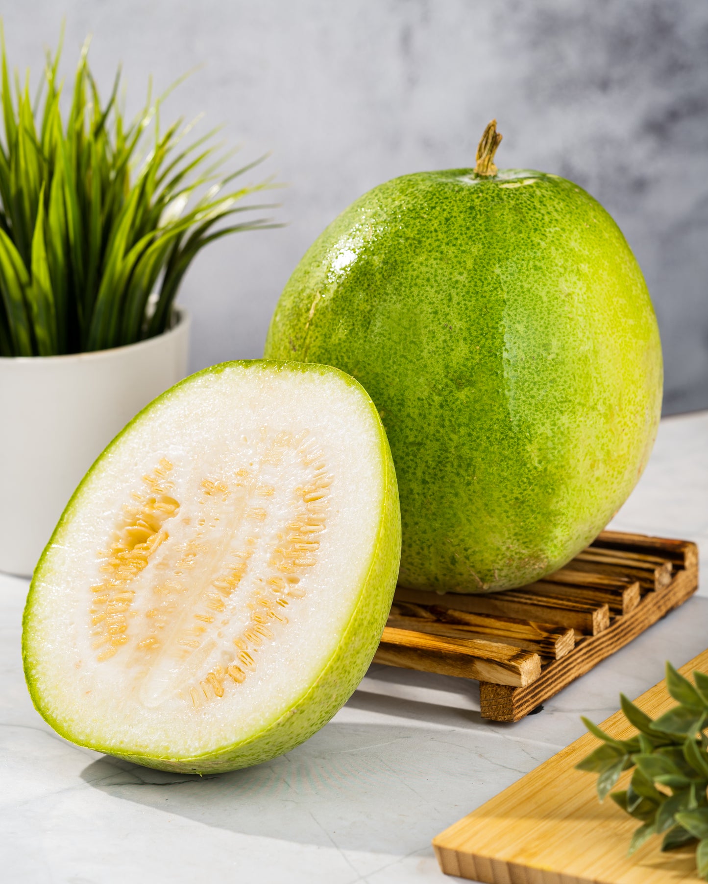 Ash Gourd (White Pumpkin)