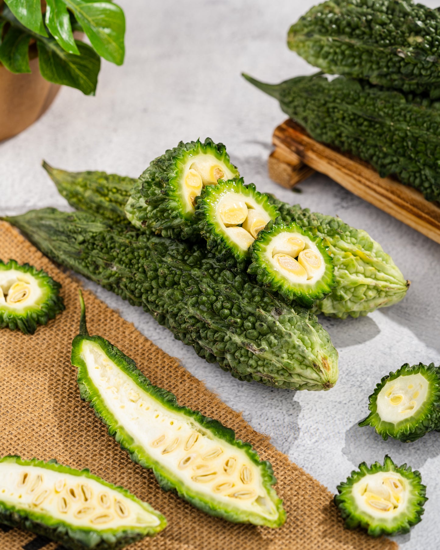 Bitter Gourd