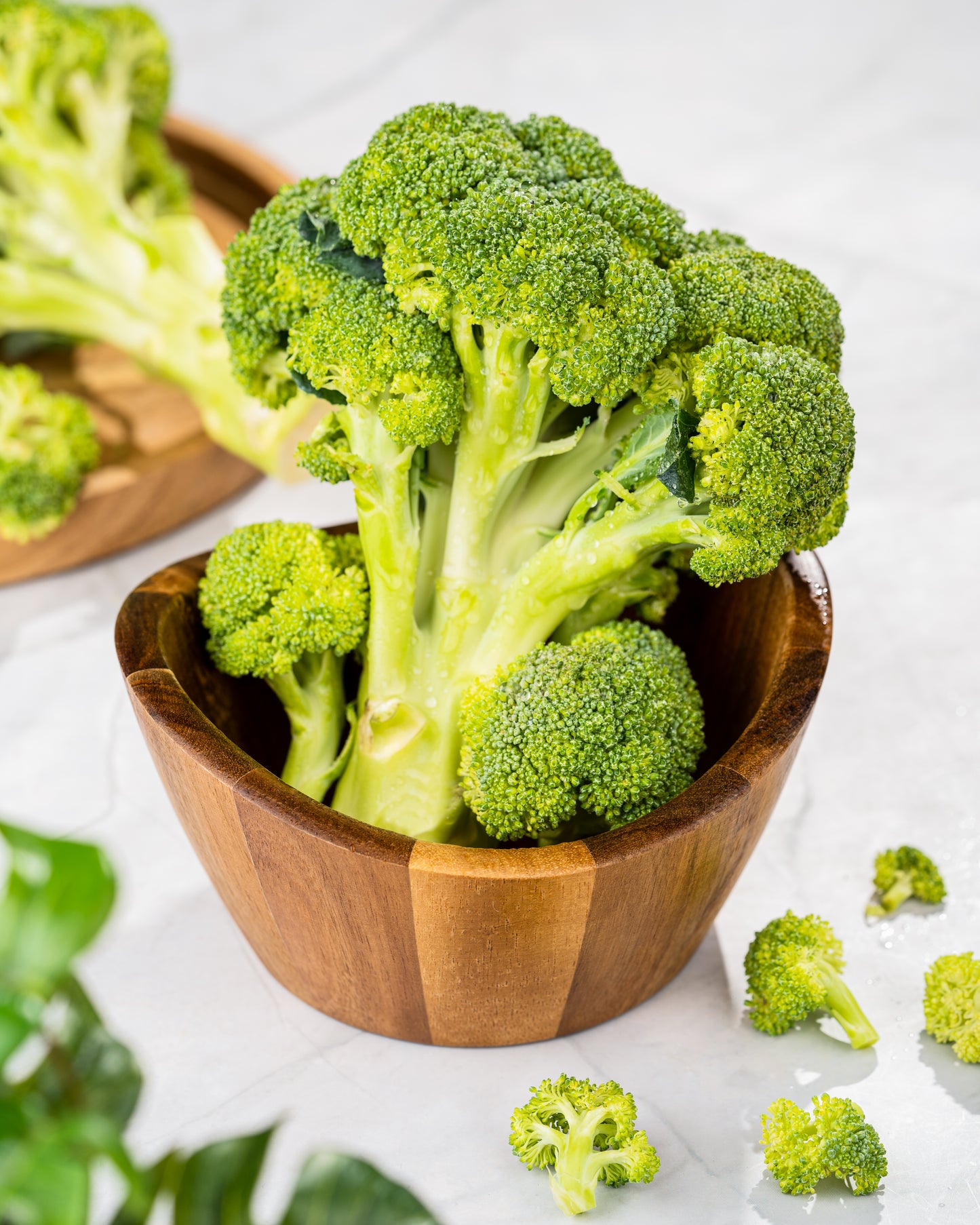 Broccoli